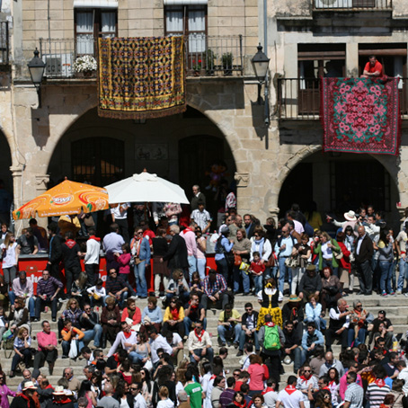 Product Image Description