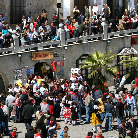 Product Image Description